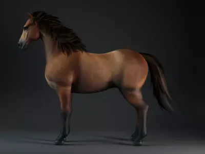 Horse-G1 3D model