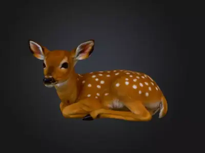 White Tailed Deer Spotted Fawn Realistic 3D model