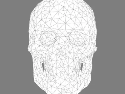 Abstract skull 3D print model