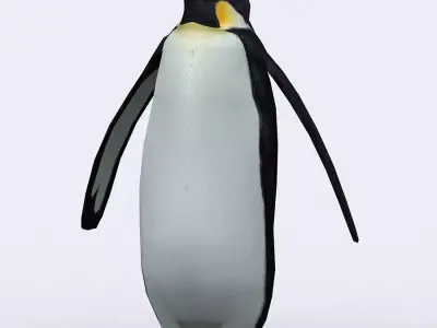 3DRT - Penguin Low-poly 3D model