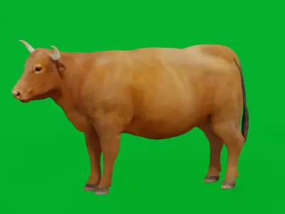 Limousin Cattle Low-poly 3D model
