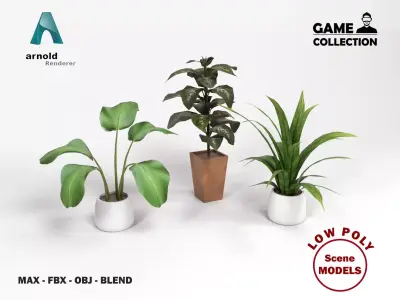Plants 1 Low-poly 3D model