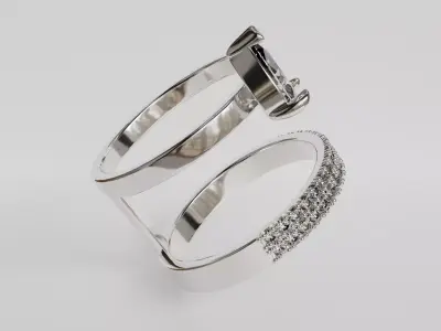 Double ring 3D print model