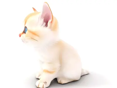 BlueEyed Kitten model pack Low-poly 3D model