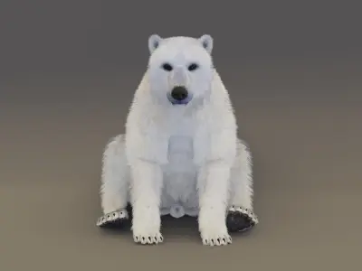 Polar Bear 3D model