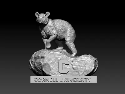 NCAA - Cornell Big Red mascot statue - Cornell University  3D print model