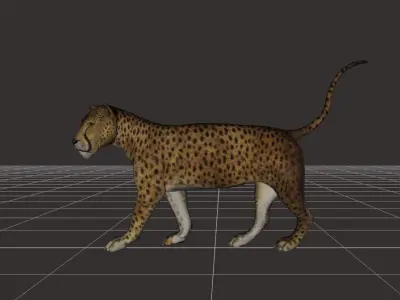 ultimate leopard Rigged 1 3D model
