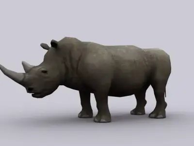 RHINOCEROS GAME READY ANIMATED MODEL Low-poly 3D model