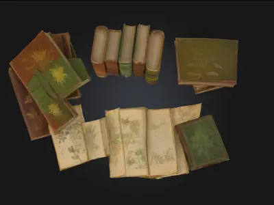 Herbarium Collection  Preserved Beauty of Natures Wisdom 3D model