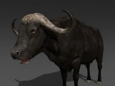Animated Buffalo - 3d model 3D model