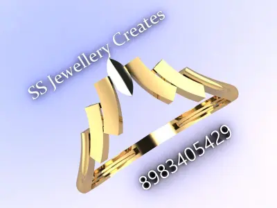 Plan-Rings-Description Check 3D print model