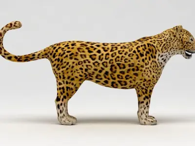 Leopard 3D model shop