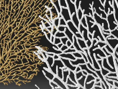 Coral 3D marine decor 3D model