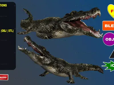 CROCODILE RIGGED ANIMATED 7 3D model