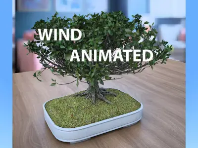 Wind Animated - American Elm Bonsai 001 3D model