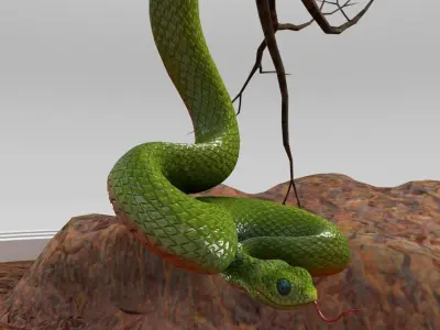 Viper Snake 3D model