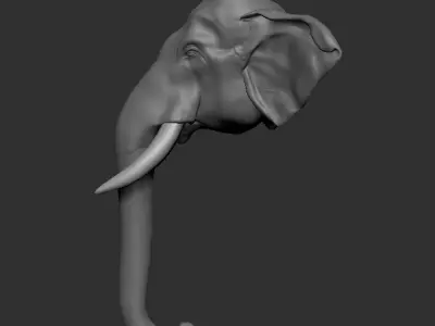 Asian Elephant head 3D model