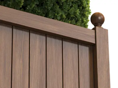 Boxwood in a wooden Garden Patio Planter 3D model