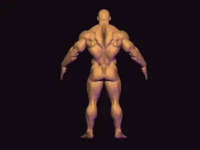 bodybuilder base mesh  Low-poly 3D model