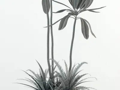 Plants collection 77 Modernica pots 3D model