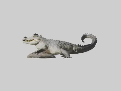 Freshwater crocodile Low-poly 3D model