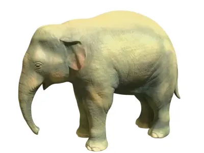 Young  asian elephant Low-poly 3D model