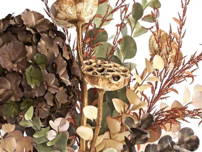 Modern bouquet of dry branches Hydrangea vase Lotus 417 3D model