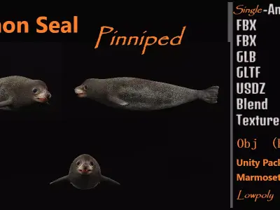 Common Seal Low-poly 3D model