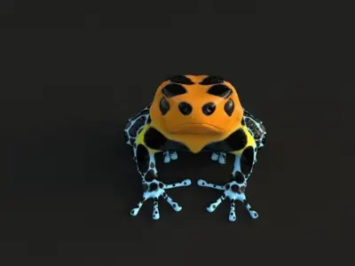 Poisonous Dart Frog Low-poly 3D model