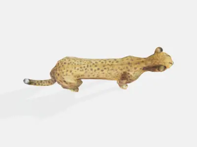 Lowpoly cheetah Low-poly 3D model
