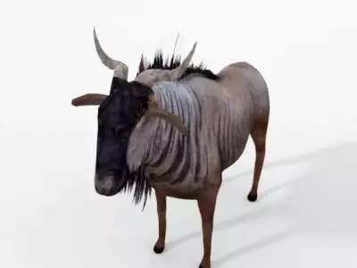 Wildebeest Gnu Low-poly 3D model