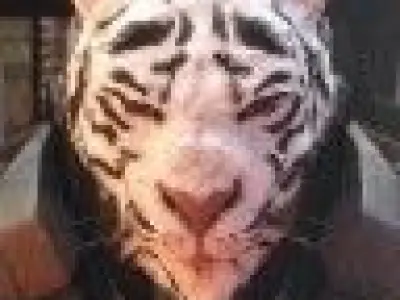tiger and fox spn rigged Low-poly 3D model