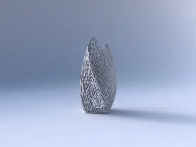 Vase double arc quadratic organic lattice and twisted thickness 3D print model