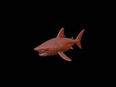 Shark Animal Sculpture 3D print model get