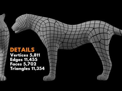 Animal Basemesh Pack - 13 base meshes 3D model