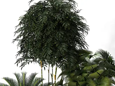 Plants 289 3D model