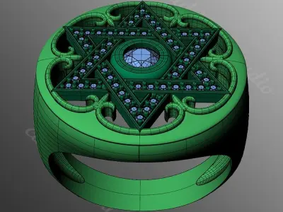 Ring bi113 3D print model