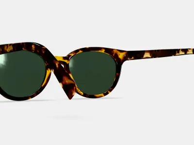 Taye Sunglasses in Black Oak Tortoise 3D model