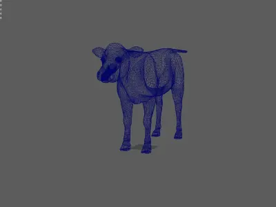 3D animal cow   calf    bull maya fbx  3D model
