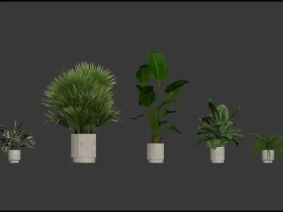 20 Photorealistic Flowers for Interiors - set 204 207 209 214 3D Model Collection
