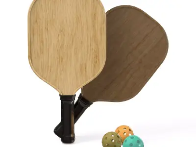 Pickleball set Paddle and Balls 3D model