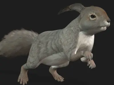 Squirrel-A1 3D model