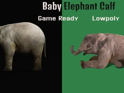 Baby Elephant Calf Low-poly 3D model
