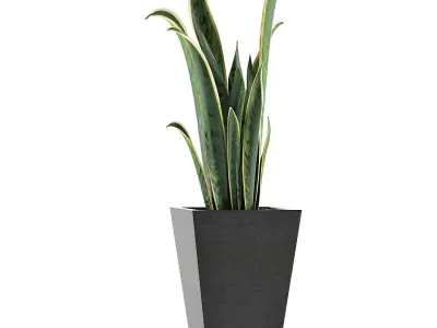 Plants Collection 95 3D model