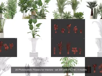 20 Photorealistic Flowers for Interiors - set 205 209 213 218 3D Model Collection