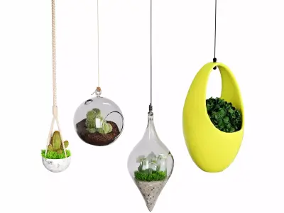 decorative hanging plant 3D model