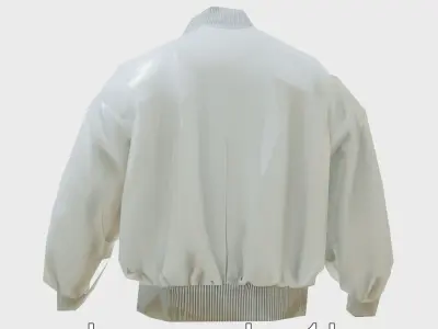 Contemporary Fashion Digital Jacket Model Low-poly 3D model