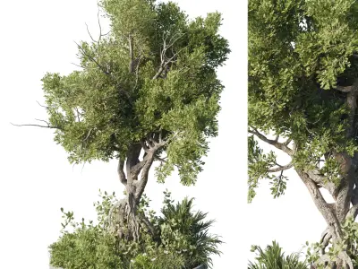 Garden plants - outdoor plant set 192 3D model