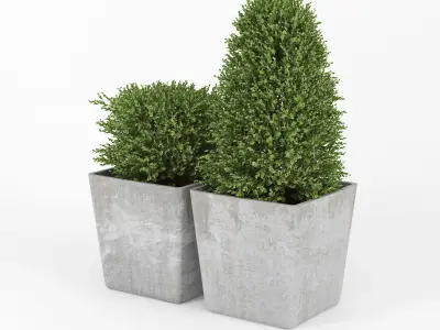 Bush concrete pot 3D model