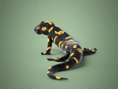 Salamander realistic Rigged Blender 3D model